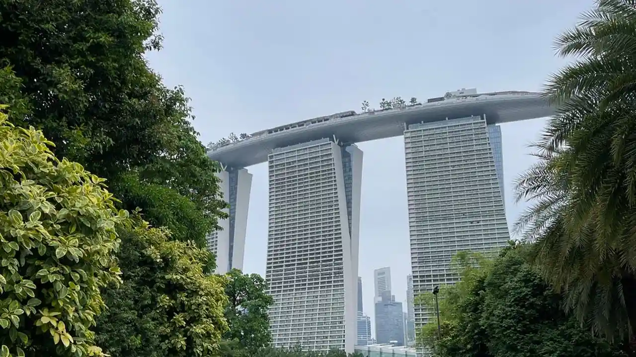 9.1网截图3